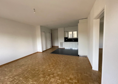 rénovation appartement lausanne chailly